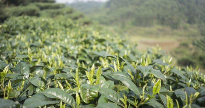 高智能土壤養(yǎng)分檢測(cè)儀在實(shí)驗(yàn)室外如何進(jìn)行土壤檢測(cè) 高智能土壤養(yǎng)分檢測(cè)儀在實(shí)驗(yàn)室外如何進(jìn)行土壤檢測(cè)