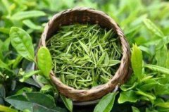 茶葉農(nóng)藥檢測(cè)儀在中藥材生產(chǎn)基地的應(yīng)用 茶葉農(nóng)藥檢測(cè)儀在中藥材生產(chǎn)基地的應(yīng)用