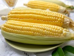 水果玉米產地農殘檢測用蔬菜農藥檢測儀器 水果玉米產地農殘檢測用蔬菜農藥檢測儀器