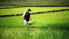 便攜式農(nóng)殘儀使用說(shuō)明書 便攜式農(nóng)殘儀使用說(shuō)明書