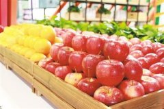 多功能食品安全檢測(cè)儀使用 多功能食品安全檢測(cè)儀使用
