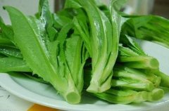 蔬菜農(nóng)藥檢測(cè)儀哪里買(mǎi) 蔬菜農(nóng)藥檢測(cè)儀哪里買(mǎi)