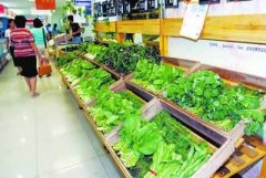 多功能食品安全檢測儀農(nóng)藥殘留酶抑制法 多功能食品安全檢測儀農(nóng)藥殘留酶抑制法