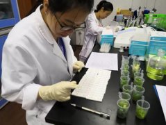 果蔬農殘檢測儀哪家好 果蔬農殘檢測儀哪家好